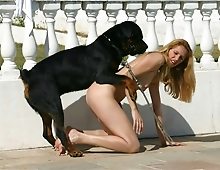 Animal sex dogs cum